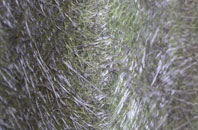 Craigiehall fibreglass roof work